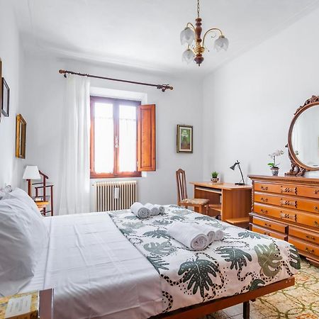 Pisa Airport Comfy Apartment - Private Parking 외부 사진